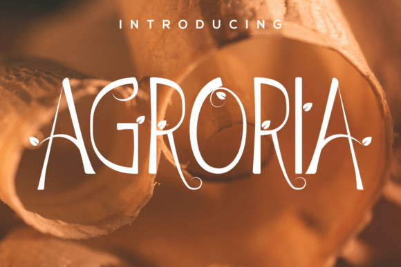 Agroria: A Display Font That Earns Its Space