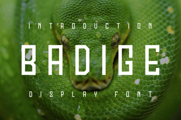 Badige: A Modern Display Font for Digital Brand Identity