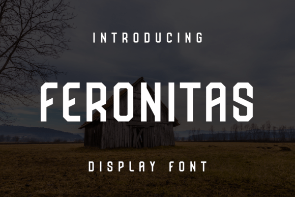 Feronitas Display Font for Handmade Creators